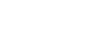 BRAUN Logo