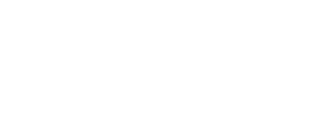ESSEX Logo